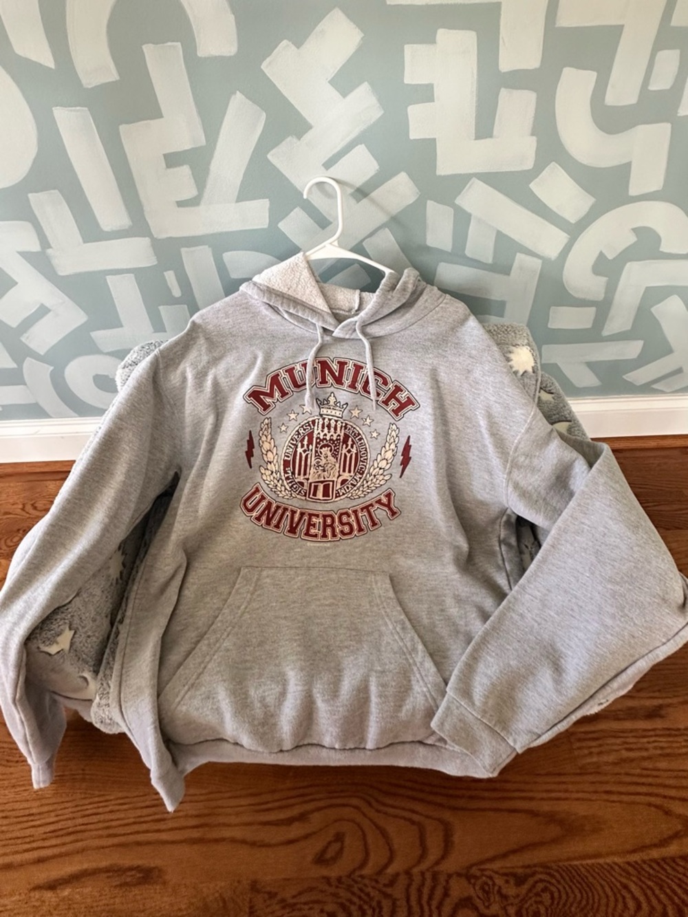 Munich University Gray Graphic Hoodie